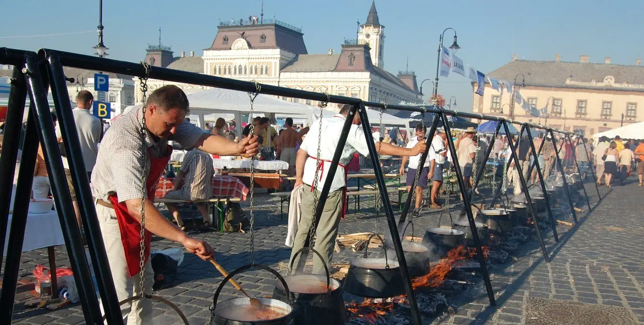 바하 생선 수프 축제 사진